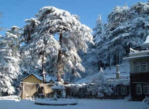 shimla manali tour